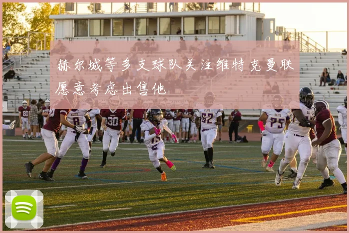 赫尔城等多支球队关注维特克曼联愿意考虑出售他