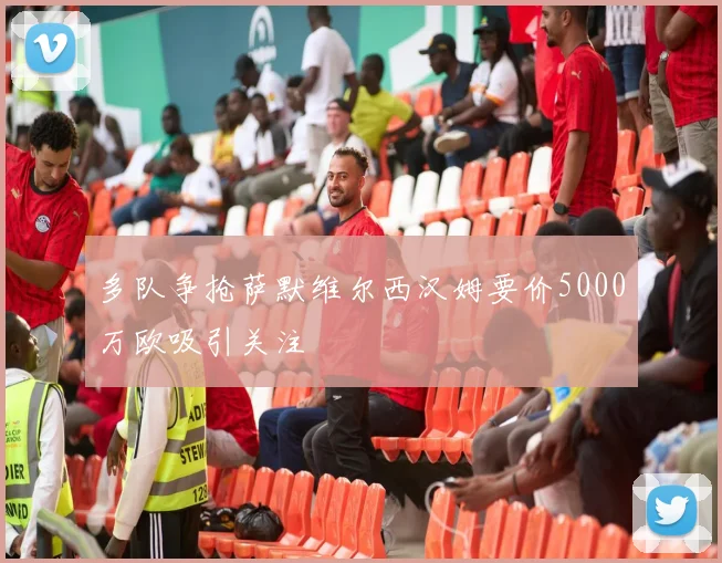 多队争抢萨默维尔西汉姆要价5000万欧吸引关注